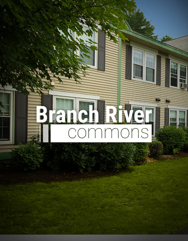 Branch River Commons Ebrochure